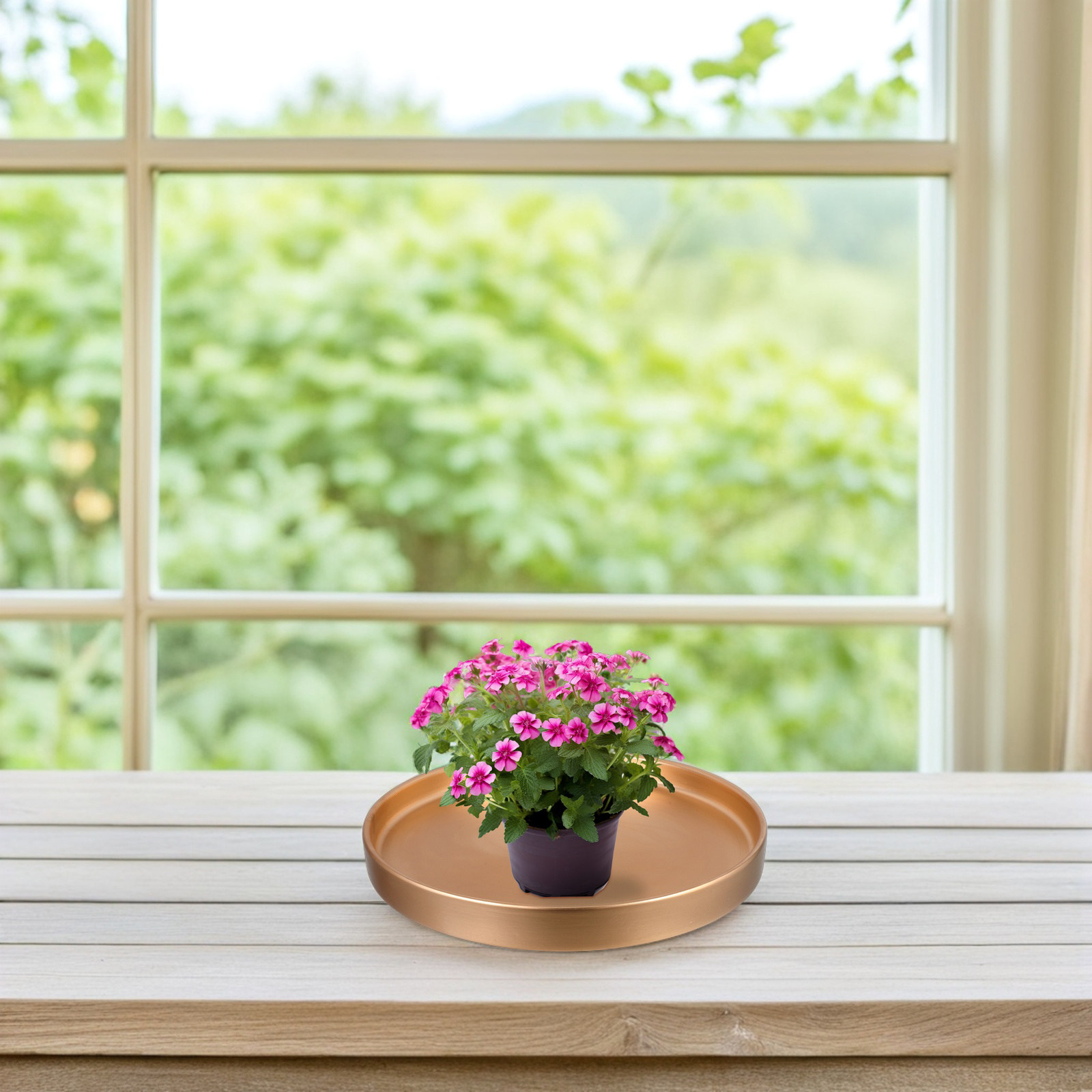 จานรองกระถางต้นไม้เซรามิกทรงกล - Drip Tray Saucer บทวิจารณ์และราคา